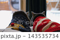 Two domestic cats wearing knitted sweaters rest together indoors, looking through glass window toward snowy outdoors during cabin winter vacation, enjoying peaceful warm domestic atmosphere. 143535734