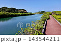 種子島南部にある阿嶽川マングローブ群生地 143544211
