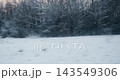 Winter Forest Landscape Viewed from Moving Train 143549306