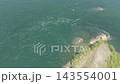 Aerial view of the coastline around Noshima Island in Imabari City, Ehime Prefecture. 143554001