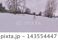 Husky and Samoyed dogs play ball on a winter walk. 143554447