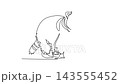 Animated self drawing of continuous line draw a fluffy wild raccoon standing on the woodland floor, showcasing it distinct facial mask, striped ringed tail, dense coat. Full length one line animation 143555452
