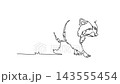 Animated self drawing of continuous line draw funny wild animal raccoon prowling forward on all four paws, showcasing it iconic banded tail, masked face, thick fur coat. Full length one line animation 143555454