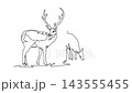 Animated self drawing of continuous line draw herd of wild deer in meadow, featuring majestic stag standing guard with grand antlers while the others graze peacefully. Full length one line animation 143555455