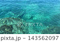 Pristine blue sea teeming with fish. 143562097