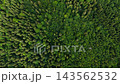 Views from above the Carpathians with a focus on forests and natural landscapes in Ukraine 143562532