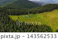 Explore the beauty of Carpathians in Ukraine through lush forests and open meadows captured from above 143562533