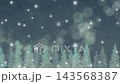 クリスマスの夜の水彩ループアニメーション。雪降るモミの木の森の幻想的な風景背景動画。 143568387