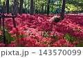 金村田萬壽沙卡公園 143570099