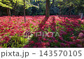 金村田萬壽沙卡公園 143570105