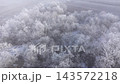 Flying over frosty bushes and forest in winter in a cloudy misty day 143572218