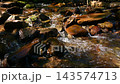 Clear Water Flowing Over Rocky Stream Bed 143574713