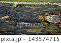 Clear Water Flowing Over Rocks in a Stream 143574715