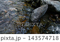 Clear stream water flowing over textured rocks 143574718
