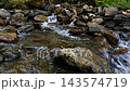 Mountain stream flowing over rocks in natural setting 143574719