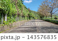 Scenic View of Driving on Quiet Country Road lined with Autumn Trees under Blue Sky 143576835
