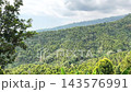 Forest covered mountain slopes fill broad tropical landscape beneath cloudy skies. Green woodland stretches across layered ridges, with leafy trees framing calm, lush wilderness panorama. 143576991