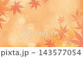 Autumn foliage background, bokeh effect, animation video 143577054