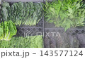 Fresh Korean Ssamvegetables and Kale Displayed with Water Mist System in Grocery Market 143577124