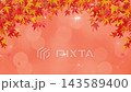 Autumn foliage frame background, sparkling animation video 143589400
