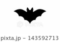コウモリ(蝙蝠)が羽ばたいて飛ぶループアニメーション 143592713