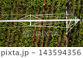 Under clear skies, an irrigation system distributes water across lush corn rows in an agricultural setting. 143594356