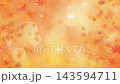 Autumn foliage background, sparkling animation video 143594711