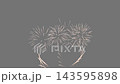 Colorful Fireworks Display in Night Sky Celebration With Various Explosions on Chromakey Background for Creative Projects 143595898