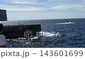 Fungus Rock at Dwejra Bay on Gozo island in Malta stands in the Mediterranean sea, with waves around its limestone base. Coastal landmark, rocky seascape, island sightseeing, natural scenery of Malta. 143601699