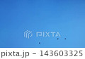 Flight of a flock of birds. Crows. Viz from bottom to top against the sky. 143603325