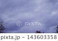 Flight of a flock of birds. Crows. Viz from bottom to top against the stormy sky. Slow motion 143603358