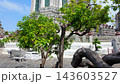 BANGKOK, THAILAND - 6th OCTOBER 2024: Tilt up from tree to Thonburi Pagoda of Wat Arun in Bangkok Thailand on a sunny morning 143603527