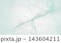 Abstract DNA background formed from the aggregation of many scattered, soft pastel-green lines. minimal idea concept, 3D Render. 143604211