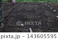A man arranging seed potatoes in a field. 143605595