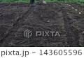 A man arranging seed potatoes in a field. 143605596