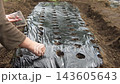 A woman sowing seeds 143605643