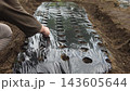 A woman sowing seeds 143605644