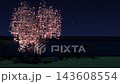 ライトアップされたしだれ桜と石灯籠の夜の日本庭園 ループ 143608554