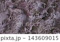 【縦動画】羅漢が彫られた石のレリーフ 松と雲の仏教彫刻 143609015