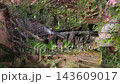 【縦動画】苔むした岩壁を流れる細い滝 山寺の水場 143609017
