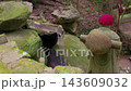 赤い帽子の石仏の後ろ姿と苔むした岩 山寺 143609032