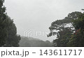 Heavy Rain Falls Over a Misty Tree Covered Hillside 143611717