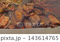 Rotating circular barbecue grill loaded with assorted Spanish meats including chorizo sausages, blood sausage morcilla, pork ribs, and steaks at a street food market. 143614765