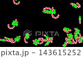 Animation of candy canes with a green bow falling from above on an invisible floor, 3d render 143615252