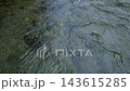 埼玉県嵐山渓谷・槻川の澄んだ清流と水流（60fps 高フレームレート） 143615285
