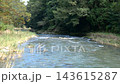 初秋の嵐山渓谷と清流・槻川のせせらぎ（埼玉県嵐山町） 143615287