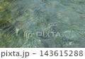 初秋の嵐山渓谷と清流・槻川のせせらぎ（埼玉県嵐山町） 143615288