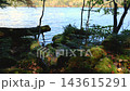 秋の白駒池・湖畔に広がる苔むした倒木と紅葉の原生林の景色 143615291