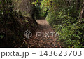 A first-person perspective shot of walking along the trails of the Shibusawa Hills in autumn. 143623703