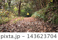 A fixed shot of a woman walking in the Shibusawa Hills in autumn. 143623704